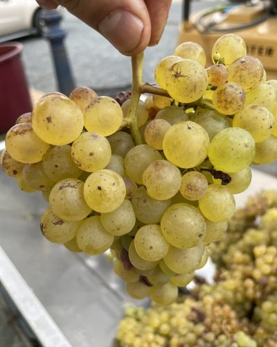 20230905_183108059_iOS