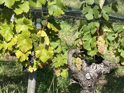 20230915_140424416_iOS