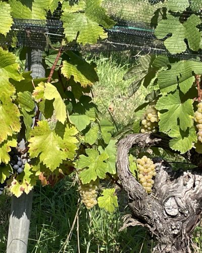 20230915_140424416_iOS